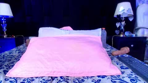 Shelsy online show from February 19, 2:55 pm