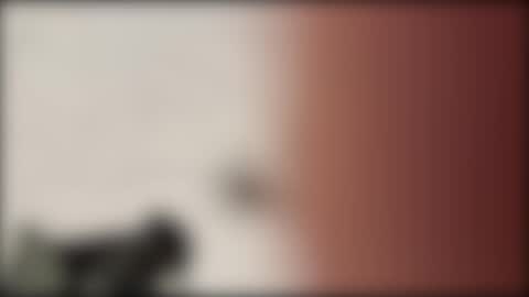 Snapshot of shifted1 chatting on January 1, 11:18 pm shifted1 online show from January 1, 11:18 pm