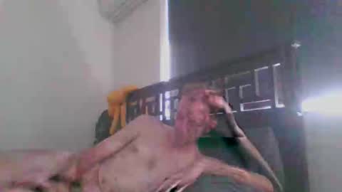 Snapshot of showmen101 chatting on December 20, 12:40 am JustAbitCheeky online show from December 20, 12:40 am