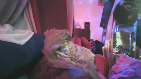 Siofra online show from February 24, 2:19 am