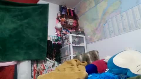 Siofra online show from September 14, 2:22 am