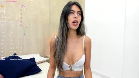 Snapshot of skinny_noa chatting on September 20, 11:33 am Noa online show from September 20, 11:33 am