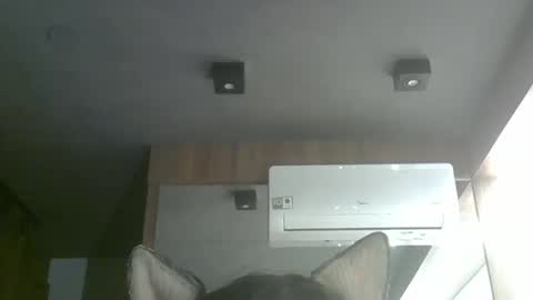 skinnykittencam online show from October 5, 12:53 am
