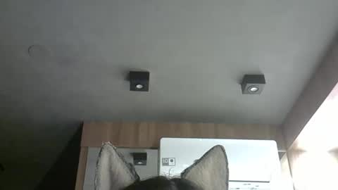 skinnykittencam online show from October 24, 2:08 am