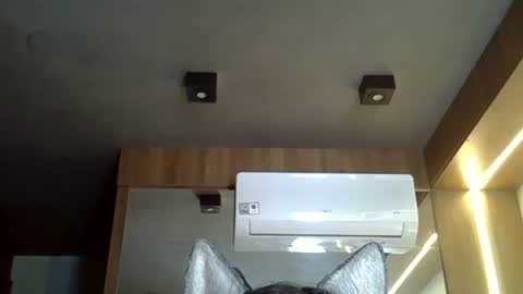 skinnykittencam online show from November 7, 1:33 pm