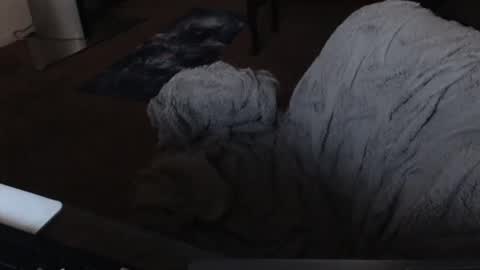 SKYLE   online show from December 19, 5:07 am