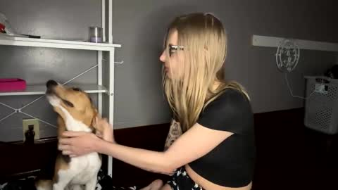 Sky  online show from November 21, 1:04 am