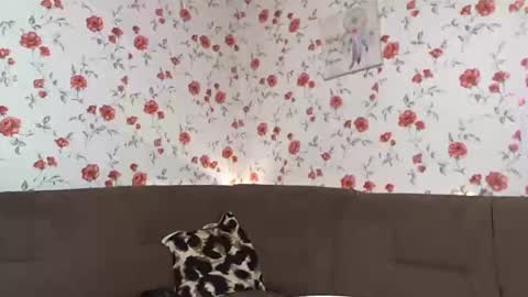 Sky online show from December 10, 1:00 pm