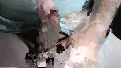 Snapshot of slash1710 chatting on September 13, 10:31 pm Z online show from September 13, 10:31 pm