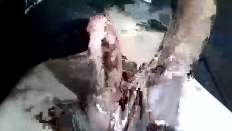 Snapshot of slash1710 chatting on November 2, 9:28 pm Z online show from November 2, 9:28 pm