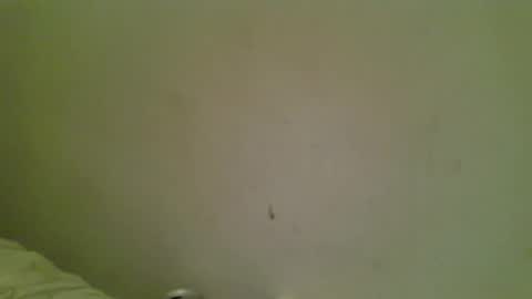 Bottmboitwink online show from October 18, 6:16 am