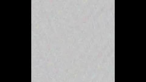 lolll online show from January 23, 9:39 am