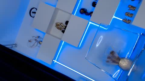 Ariana online show from January 10, 11:43 am