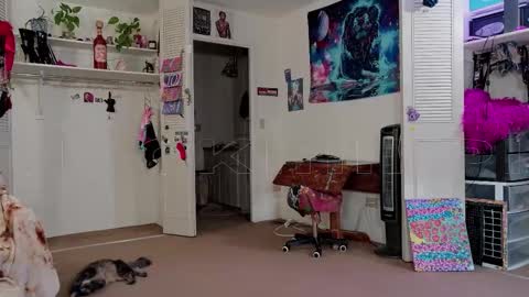 Big Dawg online show from November 11, 2:39 pm