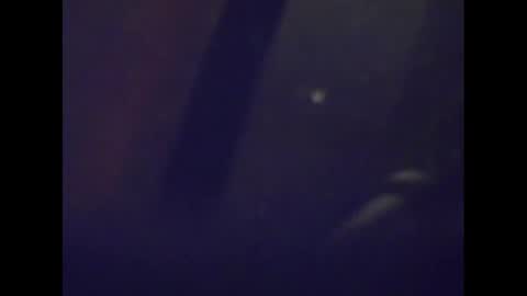 Mark online show from January 15, 5:08 am