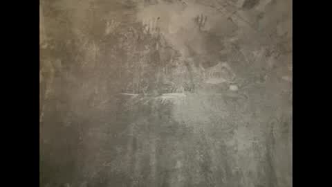 Snapshot of snoochiepoochies chatting on January 19, 6:09 am Will Rex online show from January 19, 6:09 am