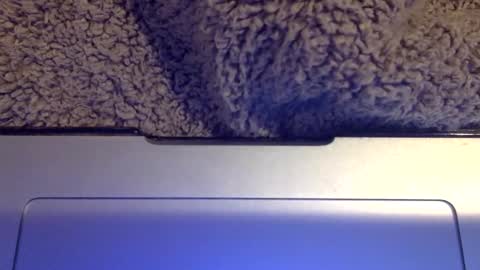 snowpapi79260 online show from January 21, 8:52 am