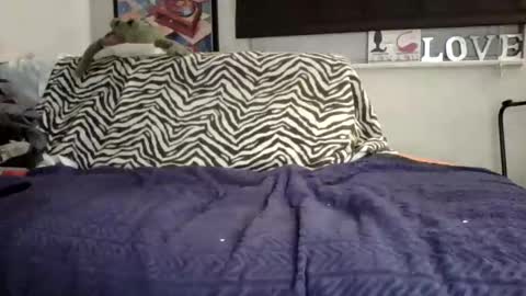 MicroAngelo online show from November 2, 10:50 am