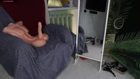 Sofia online show from November 14, 5:50 am