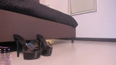 Snapshot of sofiperez_ chatting on January 23, 2:17 pm online show from January 23, 2:17 pm