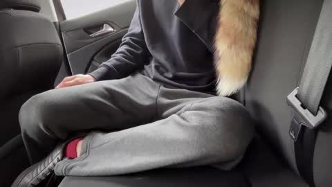 Snapshot of sondages chatting on February 23, 8:49 am Sondages online show from February 23, 8:49 am