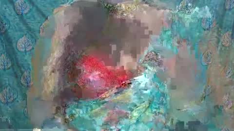 Sophia Tamil online show from February 10, 9:47 am