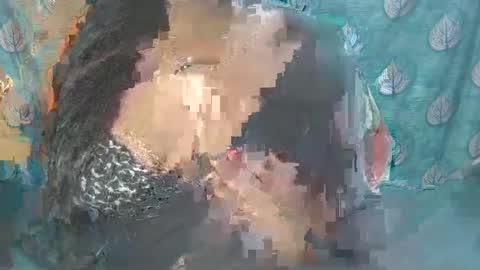 Sophia Tamil online show from February 24, 8:38 am