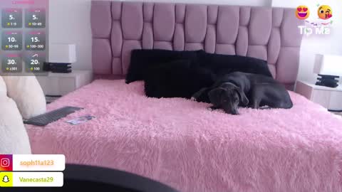 Snapshot of sophia_karsonn chatting on January 1, 5:11 pm Sophia Carson online show from January 1, 5:11 pm