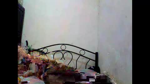 sophialaurel online show from October 1, 6:52 am