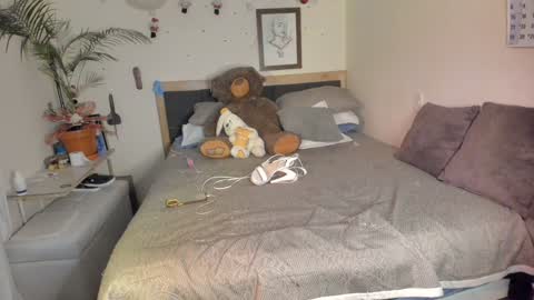 SofiTrans21 online show from December 15, 9:53 pm