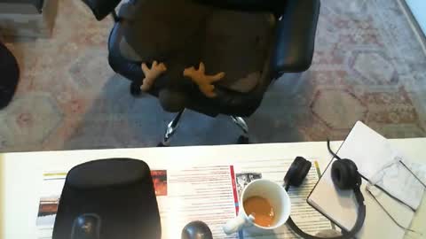 SOUTHERNBONES online show from September 29, 3:06 pm