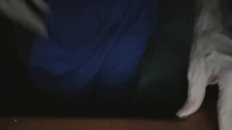 ScorpioKobra online show from November 22, 5:17 am