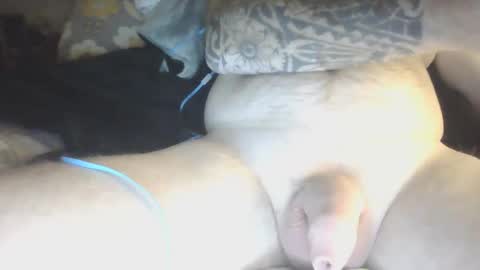 species online show from January 29, 5:51 am