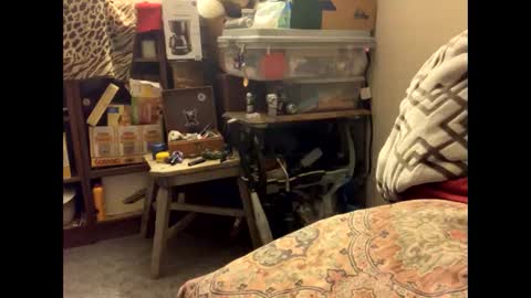 Snapshot of spermdoner23 chatting on November 10, 1:32 pm spermdoner23 online show from November 10, 1:32 pm