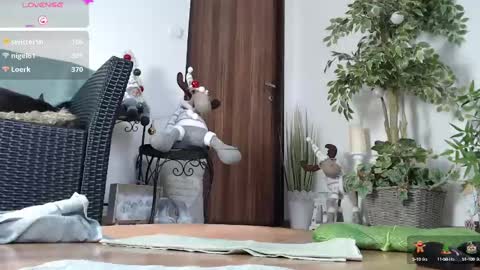 Monica online show from December 21, 12:16 pm