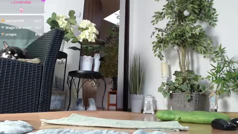 Monica online show from January 1, 7:20 am