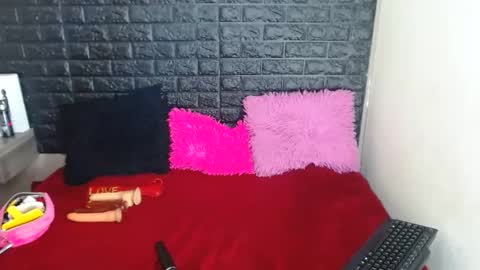 Snapshot of stefanvix202 chatting on December 15, 4:29 am Stefan online show from December 15, 4:29 am