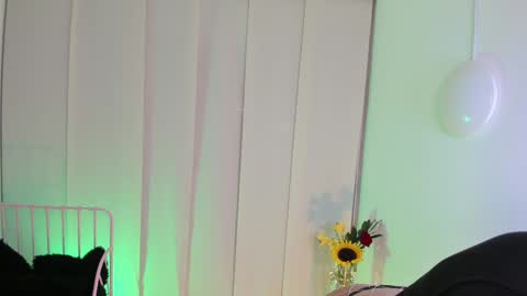 Steffy online show from January 6, 6:58 am