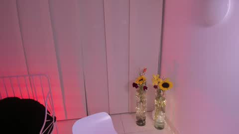 Steffy online show from February 5, 3:34 am