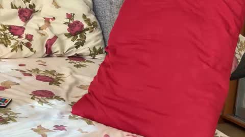 Snapshot of stick_twix chatting on September 15, 7:52 am Chris online show from September 15, 7:52 am