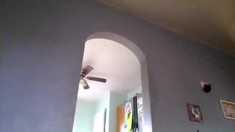 stickyredfunsize online show from November 4, 2:05 pm