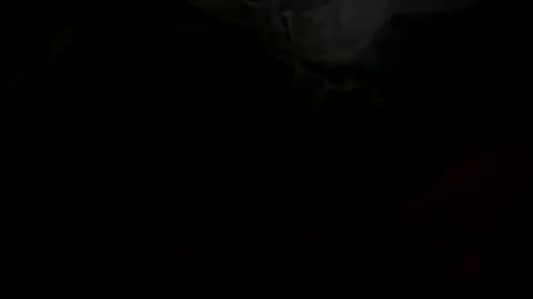 stockungs online show from February 14, 10:38 am