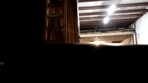 Oval2022 online show from December 16, 12:48 am