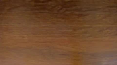 Stone Lee  online show from February 13, 11:50 am