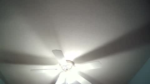 str8whiteboy21 online show from December 19, 4:34 am