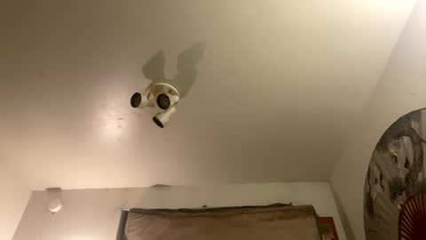 Stag online show from September 27, 7:46 am