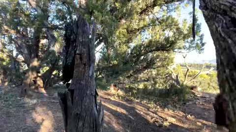 Stag online show from October 6, 11:46 pm