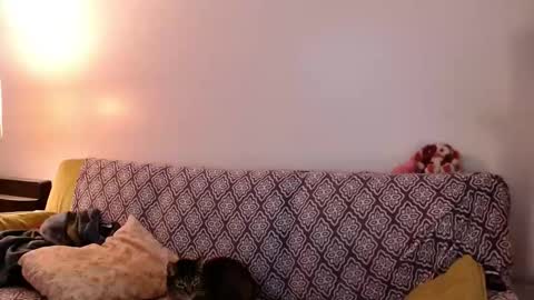 Strawberrylotsacake online show from November 24, 4:07 pm