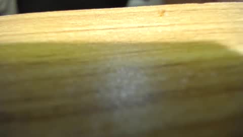 Snapshot of subswichuser00060960 chatting on January 15, 6:08 pm subswitchuser online show from January 15, 6:08 pm