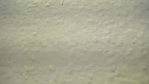 Snapshot of subswichuser00060960 chatting on October 3, 1:52 pm subswitchuser online show from October 3, 1:52 pm